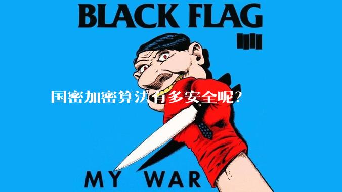 国密加密算法有多安全呢？